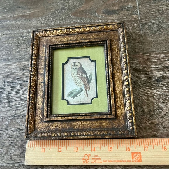 Vintage Gold Framed Owl Art for Bird Lovers - Picture 2 of 10